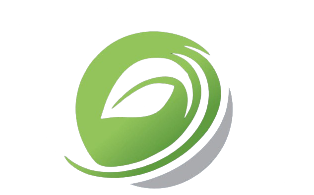 Soft Skill International